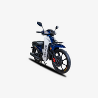 MOTARD SuperCUB 49cc V10