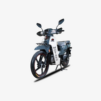 MOTARD SuperCUB 49cc V10