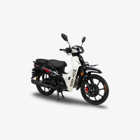 MOTARD SuperCUB 49cc V10